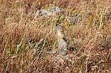 IMG_3056 (2)